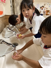 太陽組だより
